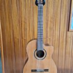 Guitarra clásica electrificada Ortega RCE159SN